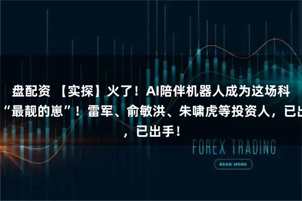 盘配资 【实探】火了！AI陪伴机器人成为这场科技展“最靓的崽”！雷军、俞敏洪、朱啸虎等投资人，已出手！