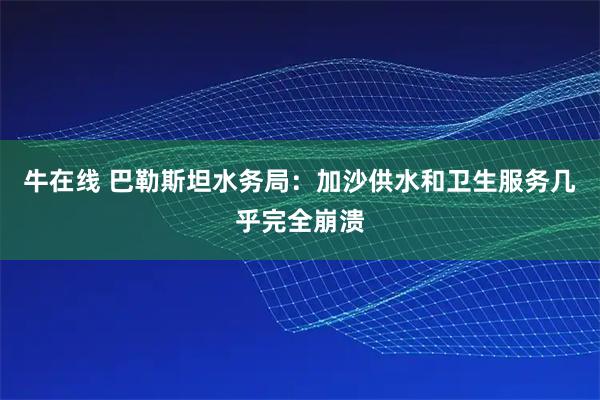 牛在线 巴勒斯坦水务局：加沙供水和卫生服务几乎完全崩溃